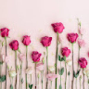 Meet your Posher, Phoebe